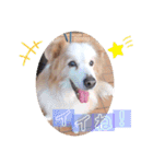 くー太のスタンプ2（個別スタンプ：6）