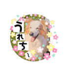 くー太のスタンプ2（個別スタンプ：11）