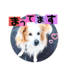 くー太のスタンプ2（個別スタンプ：22）
