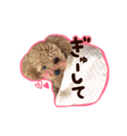 トイプードル〜lion〜❹（個別スタンプ：2）