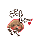 トイプードル〜lion〜❹（個別スタンプ：12）