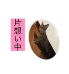 日常で使えるファミリースタンプ！（個別スタンプ：8）