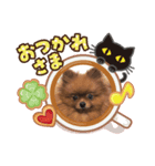 うちのPOME（個別スタンプ：2）