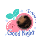 うちのPOME（個別スタンプ：5）