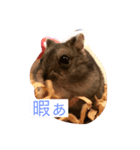 俺のハムスター（個別スタンプ：2）