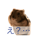 俺のハムスター（個別スタンプ：7）