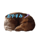 ☆ななこ☆（個別スタンプ：4）