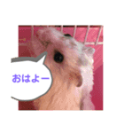るーちゃん スタンプ（個別スタンプ：1）