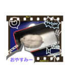 るーちゃん スタンプ（個別スタンプ：2）