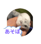 るーちゃん スタンプ（個別スタンプ：3）