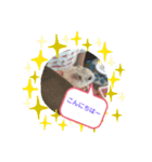 るーちゃん スタンプ（個別スタンプ：5）