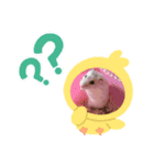 るーちゃん スタンプ（個別スタンプ：6）