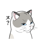 たぬき猫オリバーさん（個別スタンプ：2）