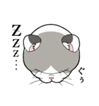 たぬき猫オリバーさん（個別スタンプ：4）