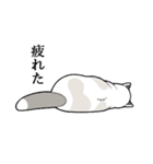 たぬき猫オリバーさん（個別スタンプ：10）