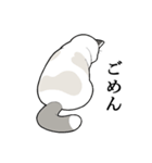 たぬき猫オリバーさん（個別スタンプ：12）