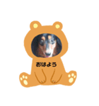ろんたろう（個別スタンプ：1）