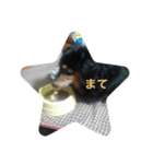 ろんたろう（個別スタンプ：5）