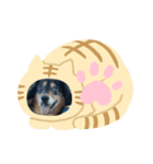 ろんたろう（個別スタンプ：6）