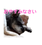 美優と心愛（個別スタンプ：6）