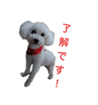 美優と心愛（個別スタンプ：10）