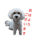 美優と心愛（個別スタンプ：11）