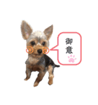 ロンちゃんスタンプ2（個別スタンプ：4）