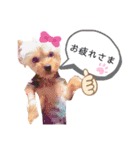 ロンちゃんスタンプ2（個別スタンプ：5）