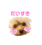 ロンちゃんスタンプ2（個別スタンプ：8）