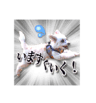 ももandゆうじんandえびちゃんandベル（個別スタンプ：6）