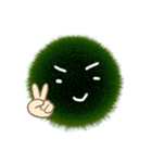 まりもちゃんの日常です（個別スタンプ：12）