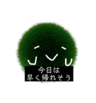 まりもちゃんの日常です（個別スタンプ：13）