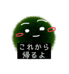 まりもちゃんの日常です（個別スタンプ：16）