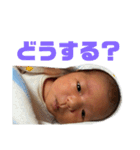 はるまさん1（個別スタンプ：12）