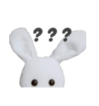 BABYRABBIT-2nd-（個別スタンプ：4）