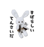 BABYRABBIT-2nd-（個別スタンプ：7）