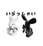 BABYRABBIT-2nd-（個別スタンプ：18）