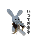 BABYRABBIT-2nd-（個別スタンプ：19）