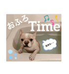 フレブルるたん（個別スタンプ：3）