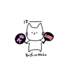 ふつうのネコ（個別スタンプ：28）