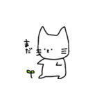 ふつうのネコ（個別スタンプ：34）