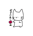 ふつうのネコ（個別スタンプ：36）