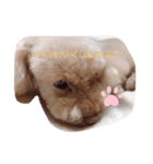 cherryの呟き（個別スタンプ：3）