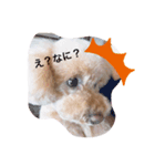 cherryの呟き（個別スタンプ：4）