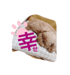 cherryの呟き（個別スタンプ：8）
