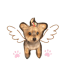 今日のワンCOCO（個別スタンプ：1）