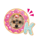 今日のワンCOCO（個別スタンプ：3）