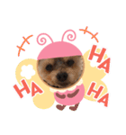 今日のワンCOCO（個別スタンプ：5）