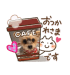 今日のワンCOCO（個別スタンプ：16）