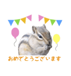 敬語で挨拶！動物写真スタンプ（個別スタンプ：6）